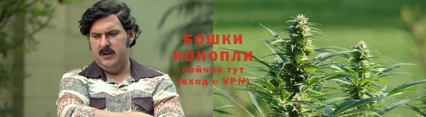 СК Усмань