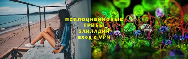 стафф Горно-Алтайск