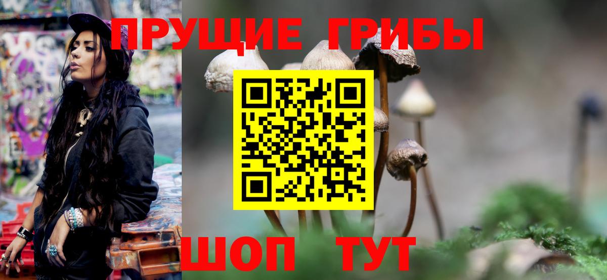 Галлюциногенные грибы прущие грибы  Галлюциногенные грибы ЛСД  Вход с VPN  Миасс 